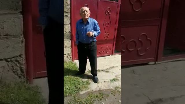 Алимет халу смотреть онлайн