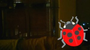 Регрессивный гипноз | ЧАКРЫ человека| Кто заставляет недоделывать дела?🤔| Подселение СУЩНОСТЕЙ |