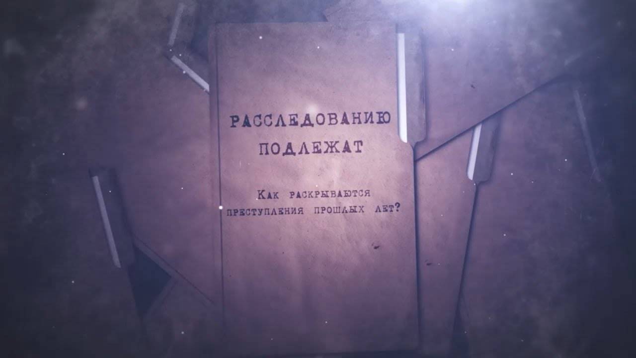 «Расследованию подлежат». Смотрите новые выпуски на «МВД МЕДИА» (ПРЕМЬЕРА)