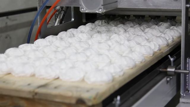 Двухрядная зефироотсадочная машина ГТ-ЗМ2 смотреть онлайн