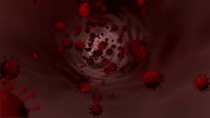 Biz Baz Studio-Apprehensive at Best (Music No Copyright)