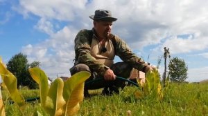 17.07.22 Не те ожидания.