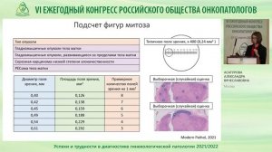 Успехи и трудности в диагностике гинекологической патологии 2021/2022
