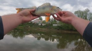 2024 Рыбалка на реке Рудня в Нижегородской области село Починки.