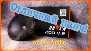 Обзор Эстрадной акустики DL Audio ™ Raven 200 V.2