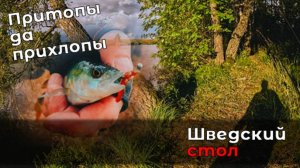 Ищем и выманиваем бастующих окуней на пруду