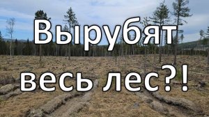 Лесоповал на Урале | разбитые дороги | поход в долину водопадов, часть 2