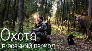УШЁЛ НА ОХОТУ В ЛЕС. РЯБЧИК ДОБЫТ. ЛОСЬ ХОДИТ РЯДОМ. Спаниель на страже