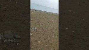 Первый день поездки на виллу Аквавизи г Гагра 23сентября 2016г