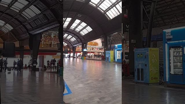 VID-20241024-WA0006