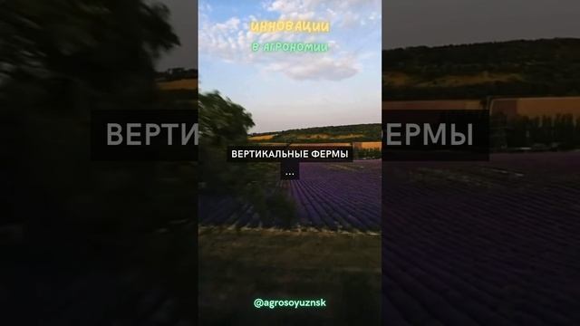 Вертикальные фермы ...