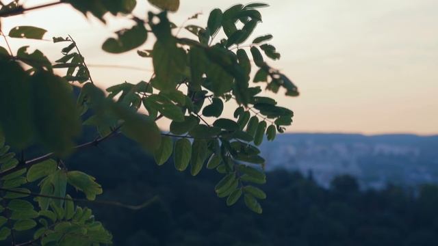 Просветление | Указатели на мифическое 