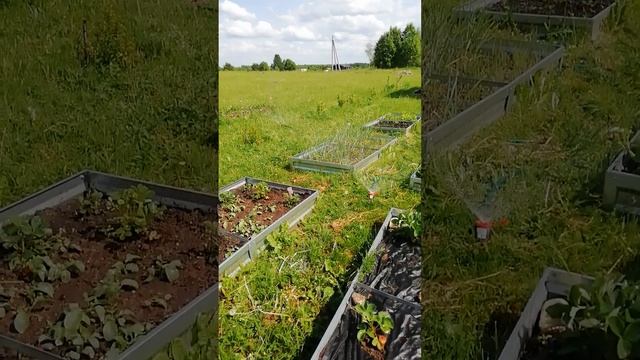 Выбираю поливали на грядки.