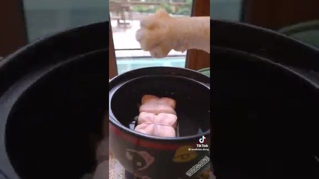 Повар