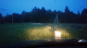 31.05.24 мой первый миллиард комаров.