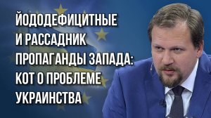 О главных задачах России и Запада на Украине, гримасах русофобии и происхождении украинцев - Кот