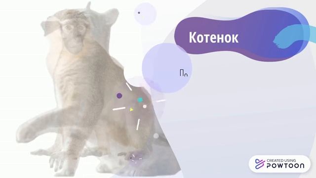 Hackathon Proposal смотреть онлайн