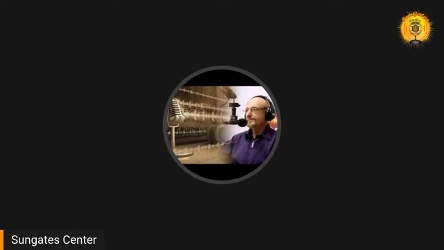 Эмоциональная стабильность индивидуума в Обществе. Психолог Елена Смирнова. смотреть онлайн