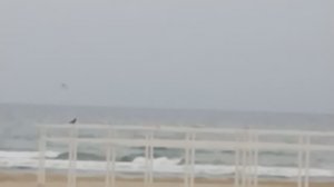 Просторная 1к квартира реальный путь до  песчаного пляжа Джемете. Анапа. Море - 300 метров! 42644