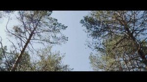 Северный Лодж на берегу Белого моря «Летняя Золотица»