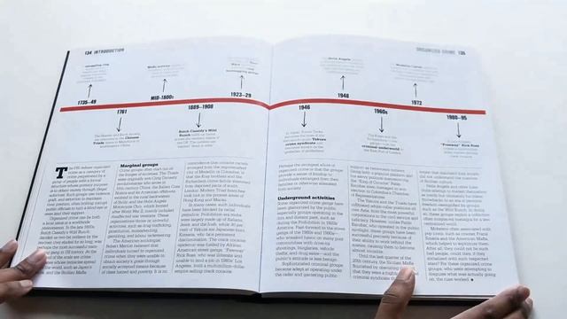 The Crime Book: Big Ideas Simply Explained смотреть онлайн