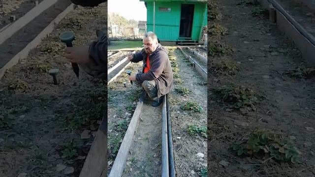 А тут кроты, караул.