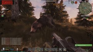 Will To Live Online:  Симбиот, медведь и Волшебная курица. Сдаём хабар.