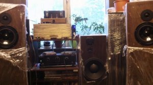 Двухполосная акустика на немецких динамиках играет электронику