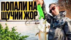 21 ЩУКА на двоих за 4 часа. Мечта, а не рыбалка. Рабочие воблеры на хищника