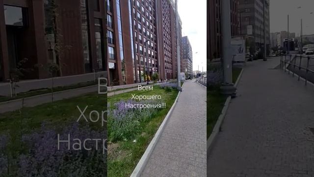 Москва. Новый район