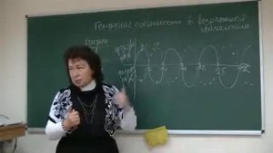 Гендерные особенности возрастной психологии,1 из 2  Психолог Наталья Кучеренко  Лекция №02