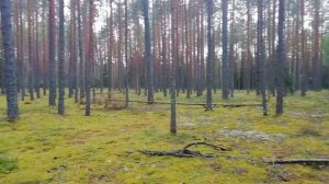05.09.22 С утра в Ямм ,а вечером в Буреги