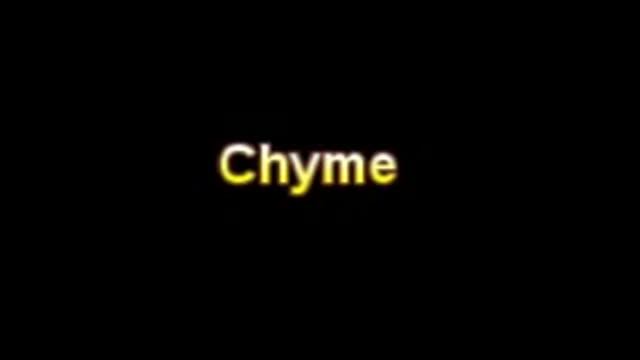 What Is The Definition Of Chyme - Medical Dictionary Free Online