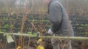 Секреты тренировок IPSC. loft fitness ipsc