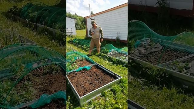 Я жмот, не дам исчезнуть своим ягодам.