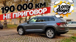 190 тыс.км на ЧИПОВАННОМ Skoda KODIAQ 2.0TDI Stage 1. ОТЗЫВ владельца