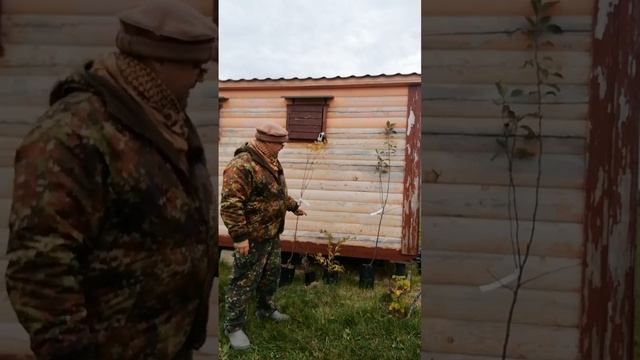 Новые саженцы в мой сад.
