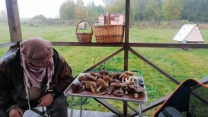 01.10.22 На даче обнаружил ПОРТАЛ В ДРУГОЙ МИР- ведьмино кольцо