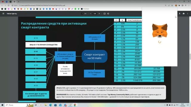 Презентация Маркетинга DeFi Системы Tap Money Community Matic от 11.09.2023 | Продаём Лидерский Пул