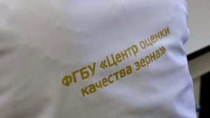 Ход уборочной кампании стал одной из тем доклада Банка России «Региональная экономика»