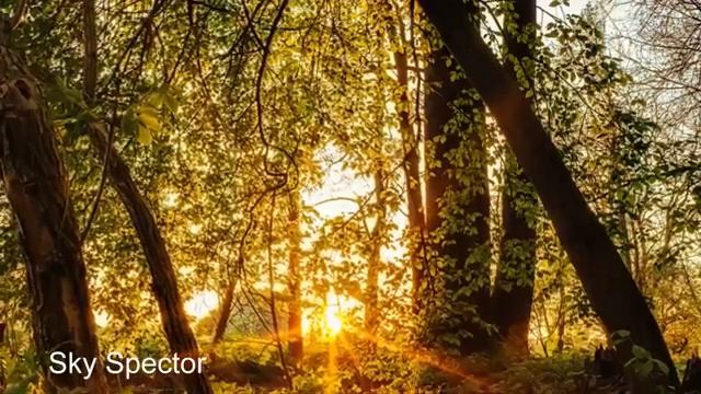 3. ВОЗНИКНОВЕНИЕ БЫТИЯ, гл.2. «Нектар Бессмертия. Беседы о Вечном» — Н. Махарадж смотреть онлайн