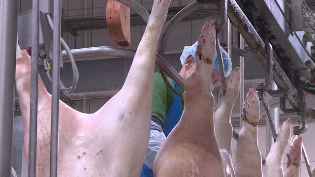 Обвальщик отделения обвалки мяса и изготовления полуфабрикатов