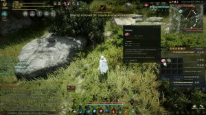 Black Desert - Охота на Оленя и Кабана