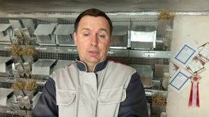 ЖИВОТНЫХ НА ПРОДАЖУ НЕТ | СЕЛЬСКОЕ ХОЗЯЙСТВО