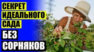 💡 Как выводить сорняки 😎 Чем полить сорняки для уничтожения