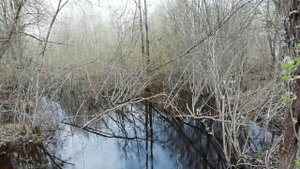 07-08.05.22 Вторые майские праздники, новые ощущения от обычных для  дел ,картошка, коптильня.