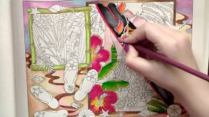 Colouring 'Collage Art' Surfing / Colored pencils / Раскраска-антистресс