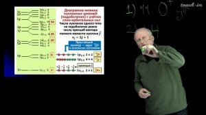 Широков Е.В. - Физика ядра и частиц - 10. Ядерные модели