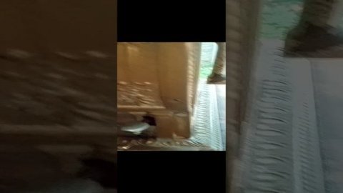 обзор Зеленоградска