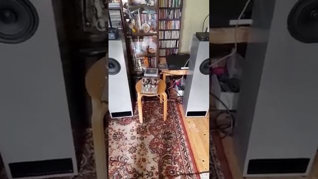 ноэма 100гдш65, четвертьволновый напольный от клиента